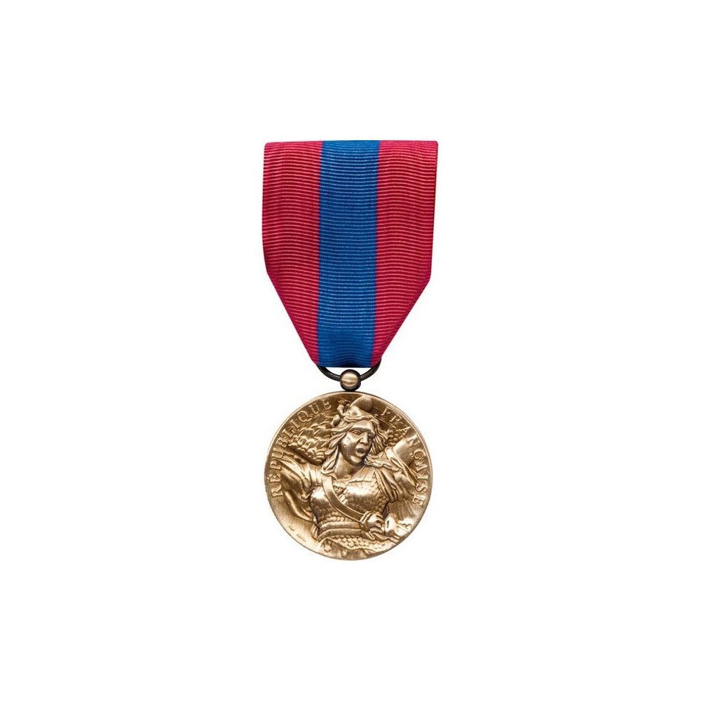 Médaille Ordonnance Défense Nationale Bronze Médaille Ordonnance Défense Nationale Bronze
