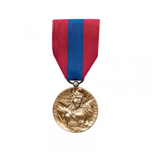 Médaille Ordonnance Défense Nationale Bronze