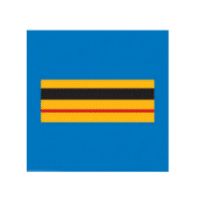 Grade poitrine Police Municipale