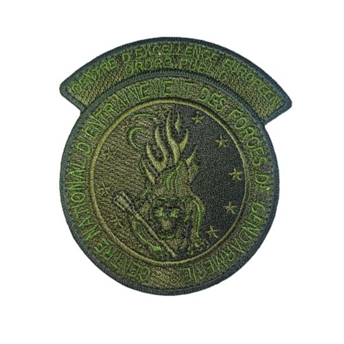 Ecusson de bras brode BV vert CNEFG