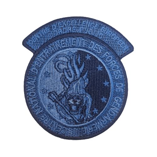 Ecusson de bras brode BV bleu CNEFG