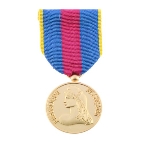 Medaille ordonnance Reserviste de la Defense et de la Securite Interieure Or