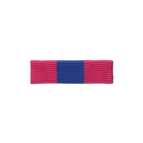 Barrette Dixmude Defense Nationale Bronze