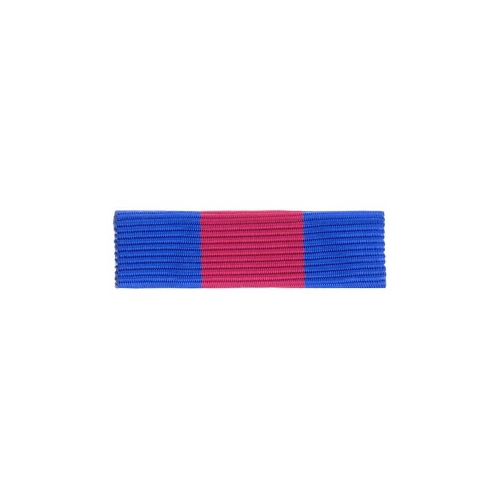 Barrette dixmude SMV et Reserviste de la Defense et de la securite interieure Barrette dixmude SMV et Reserviste de la Defense et de la securite interieure
